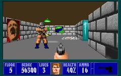 une photo d'Ã©cran de Wolfenstein 3D (PC) sur PC